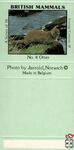 №8 Otter British Mammals A Series of 10 Average Contents 40 Photo by J