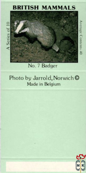 №7 Badger British Mammals A Series of 10 Average Contents 40 Photo by